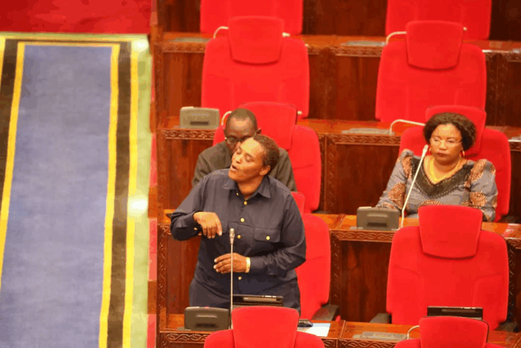 Tanzanian MP Jesca Msambatavangu Invites Kenyan Gen Z to WhatsApp Dialogue, Plans Live Session Saturday