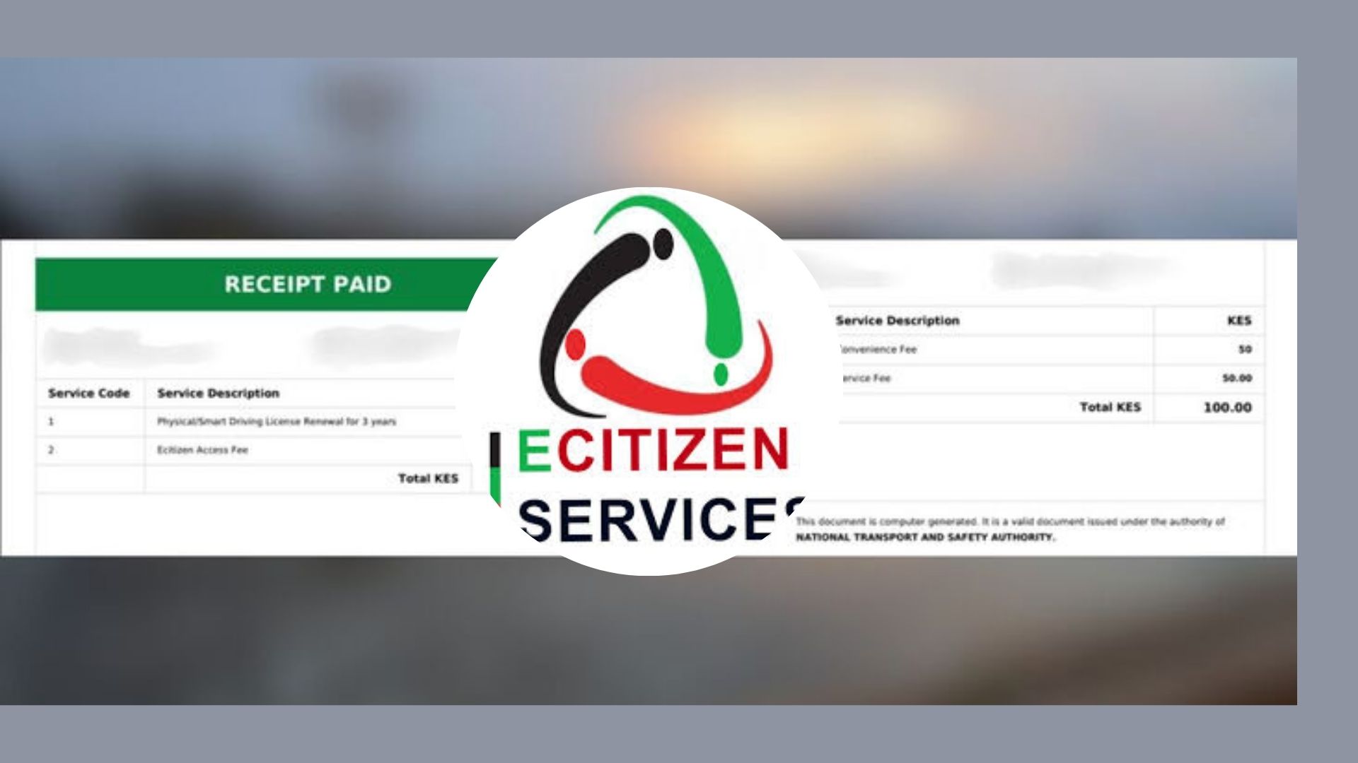 Ecitizen Outrage as eCitizen Users Flag Hidden Ksh100 Charges on Transactions ...