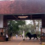Tourism CS Miano Announces Free Entry to National Parks for Kenyans on World Tourism Day Tourism CS Miano Announces Free Entry to National Parks for Kenyans on World Tourism Day