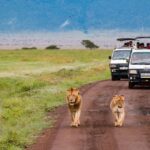 Complete List of KWS Parks and Reserves Open for Free This Saturday Complete List of KWS Parks and Reserves Open for Free This Saturday