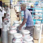 Kenya to Introduce Quality Milk Certification as Export Push Intensifies Kenya to Introduce Quality Milk Certification as Export Push Intensifies