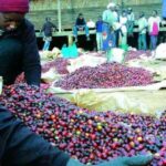 Government Unveils Ksh 9.7 Billion Coffee Fund as Part of Bold Sector Reforms Government Unveils Ksh 9.7 Billion Coffee Fund as Part of Bold Sector Reforms