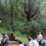 New Bill Proposes Sh5 Million Fine or 10-Year Jail Term for Fake Miracles and Extortion New Bill Proposes Sh5 Million Fine or 10-Year Jail Term for Fake Miracles and Extortion