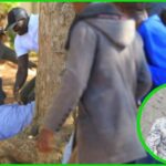 MP Peter Kaluma Attacked in Kasipul Chaos as Bodyguard’s Gun Stolen MP Peter Kaluma Attacked in Kasipul Chaos as Bodyguard’s Gun Stolen
