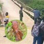 Seven Explosive Devices Found on Migori–Soni Road Ahead of Ruto Tour Seven Explosive Devices Found on Migori–Soni Road Ahead of Ruto Tour