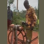 KWS to Compensate Man After Python Kills His Dog in Siaya County KWS to Compensate Man After Python Kills His Dog in Siaya County