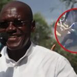 Boni Khalwale Takes Tumble During Kakamega Bullfighting Event as Viral Clip Sparks Mixed Reactions Boni Khalwale Takes Tumble During Kakamega Bullfighting Event as Viral Clip Sparks Mixed Reactions