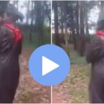 Kenyan Graduate Sparks Alarm After Disturbing Street Video Emerges Weeks After University Graduation Kenyan Graduate Sparks Alarm After Disturbing Street Video Emerges Weeks After University Graduation