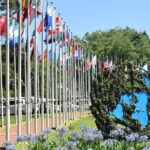 Kenya Dealt Major Blow as Donald Trump Pulls US Funding From Nairobi-Based UN Agencies Kenya Dealt Major Blow as Donald Trump Pulls US Funding From Nairobi-Based UN Agencies