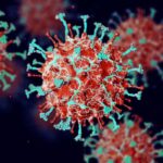 Nipah Virus Alert: What Kenyan Travelers and Health Officials Need to Know About the Indian Outbreak Nipah Virus Alert: What Kenyan Travelers and Health Officials Need to Know About the Indian Outbreak