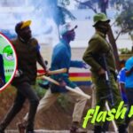 2027 Polls: IEBC Targets Politicians Using Goons in Campaign Crackdown 2027 Polls: IEBC Targets Politicians Using Goons in Campaign Crackdown