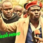 Cherargei defends Gaucho over hospital board role amid qualifications debate Cherargei defends Gaucho over hospital board role amid qualifications debate