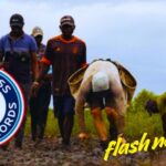 Antoine Moses to Attempt 40,000 Mangrove Planting Record in Mombasa Antoine Moses to Attempt 40,000 Mangrove Planting Record in Mombasa