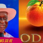 ODM Opens Applications for 2027 Elective Seats ODM Opens Applications for 2027 Elective Seats