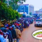 Germany Extends IPS Scholarship Deadline for Kenyan Youth German Embassy Extends IPS Scholarship Deadline for Kenyan Applicants Amid Rising Interest in Overseas Study