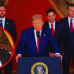 What Trump’s AGOA Extension Means for Kenyan Jobs and Exports What Trump’s AGOA Extension Means for Kenyan Jobs and Exports