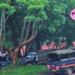Imenti Forest Airstrip to Open Next Week Despite Court Order, PS Says Imenti Forest Airstrip to Open Next Week Despite Court Order, PS Says