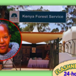 Senior KFS Legal Manager Esther Wairimu Keige Reported Missing After Disappearing in Juja Senior KFS Legal Manager Esther Wairimu Keige Reported Missing After Disappearing in Juja