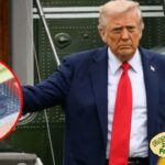 Trump Administration Ends Open-Ended Student Visas With New Four-Year Limit Trump Administration Ends Open-Ended Student Visas With New Four-Year Limit