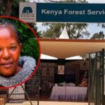 Missing KFS Legal Services Manager Esther Keige Found Dead in Juja Weeks After Disappearance Missing KFS Legal Services Manager Esther Keige Found Dead in Juja Weeks After Disappearance