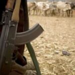 Police Recover 45 Stolen Cattle After Repelling Armed Bandit Attack in Turkana Police Recover 45 Stolen Cattle After Repelling Armed Bandit Attack in Turkana