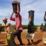 45 Bags Stolen Overnight as Kiambu Coffee Farmers Lose KSh1.5 Million 45 Bags Stolen Overnight as Kiambu Coffee Farmers Lose KSh1.5 Million