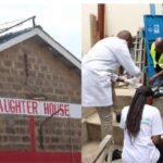 NEMA Releases New List of Approved Environmental Testing Laboratories NEMA Releases New List of Approved Environmental Testing Laboratories
