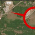 Nearly 5 Acres Cleared for New Nairobi Animal Orphanage, Satellite Images Show Nearly 5 Acres Cleared for New Nairobi Animal Orphanage, Satellite Images Show