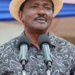 ‘Blame Me, Not Uhuru’: Kalonzo’s Direct Challenge to Ruto ‘Blame Me, Not Uhuru’: Kalonzo’s Direct Challenge to Ruto