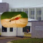 U.S. Embassy Warns Travellers After Kenya Records Rise in Dengue Fever Cases U.S. Embassy Warns Travellers After Kenya Records Rise in Dengue Fever Cases