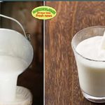 Kenya Milk Shortage: Government Considers Imports as Supplies Fall Kenya Milk Shortage: Government Considers Imports as Supplies Fall