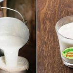 Milk Price Alert: Kenyans Now Paying KSh90 as Shortage Deepens Milk Price Alert: Kenyans Now Paying KSh90 as Shortage Deepens