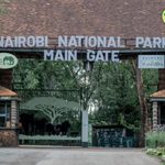 KWS Slashes Student Entry Fees at Major Parks in New Nationwide School Trip Offer KWS Slashes Student Entry Fees at Major Parks in New Nationwide School Trip Offer