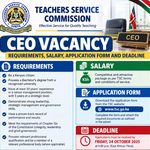 TSC CEO Vacancy 2026: Requirements, Salary, Application Form and Deadline TSC CEO Vacancy 2026: Requirements, Salary, Application Form and Deadline