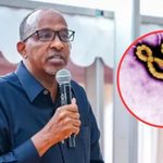 Kenya Confirms Four More Ebola Cases, Bringing Total to Seven Kenya Confirms Four More Ebola Cases, Bringing Total to Seven